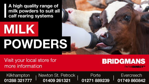 Bridgmans Milk Powders